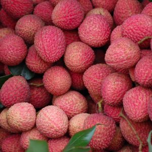 লিচু